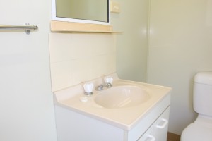 Ensuite Site Basin and Mirror